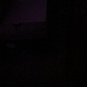 Meet your Posher, Damani